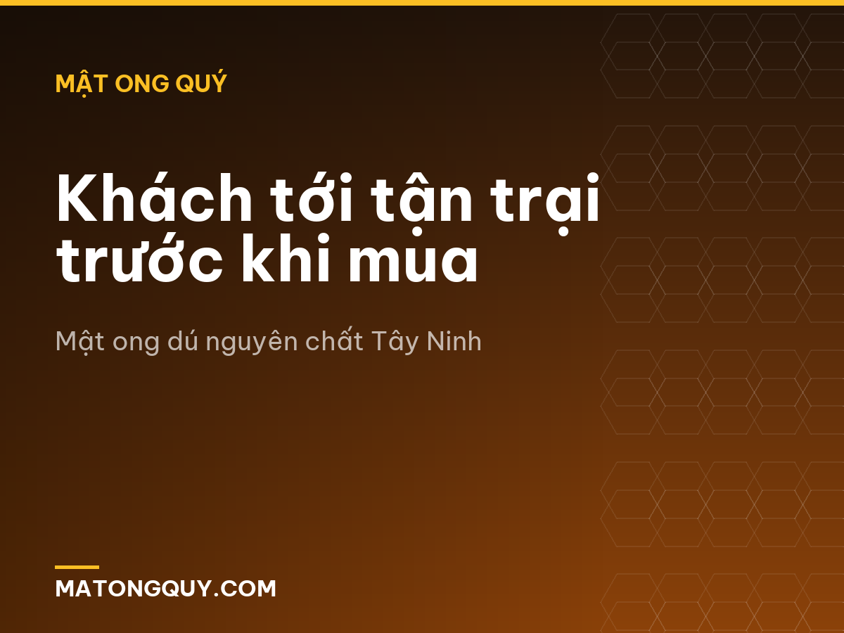 Khách tới tận trại trước khi mua