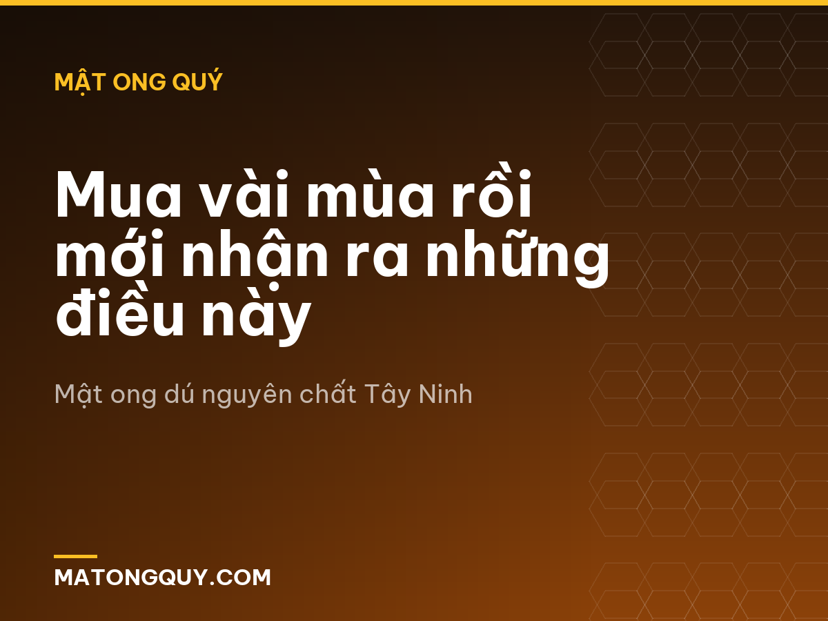 Mua vài mùa rồi mới nhận ra những điều này