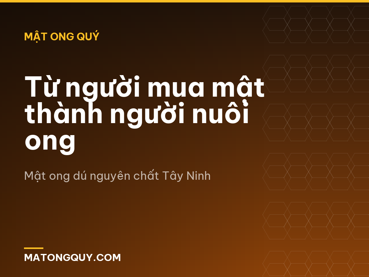 Từ người mua mật thành người nuôi ong