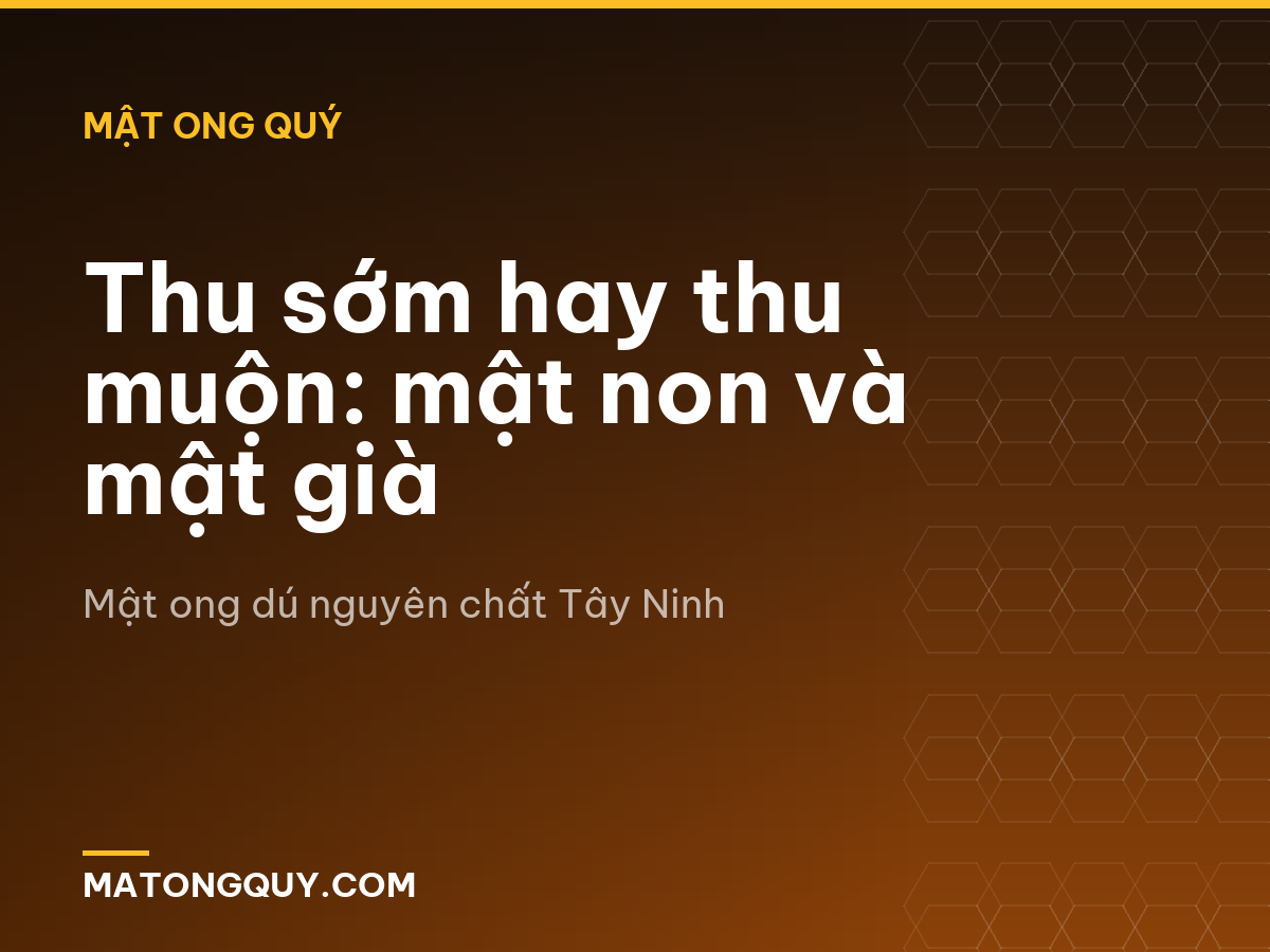 Thu sớm hay thu muộn: mật non và mật già