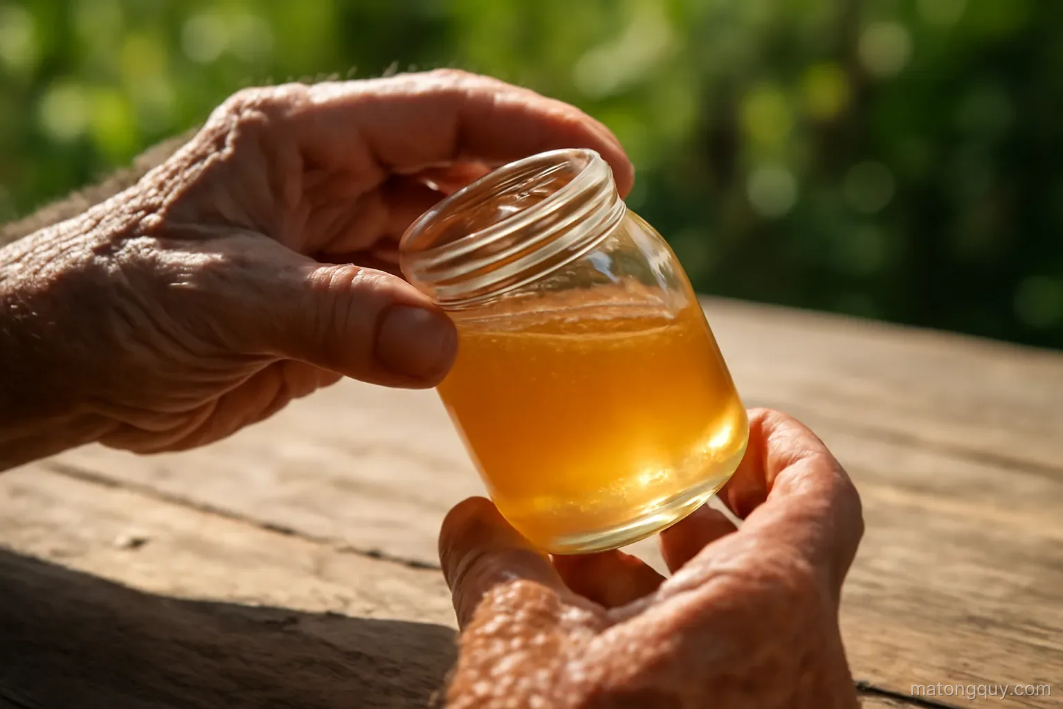 Mật ong dú Tây Ninh tách nước mùa nóng: phân biệt hiện tượng tự nhiên và dấu hiệu cảnh báo